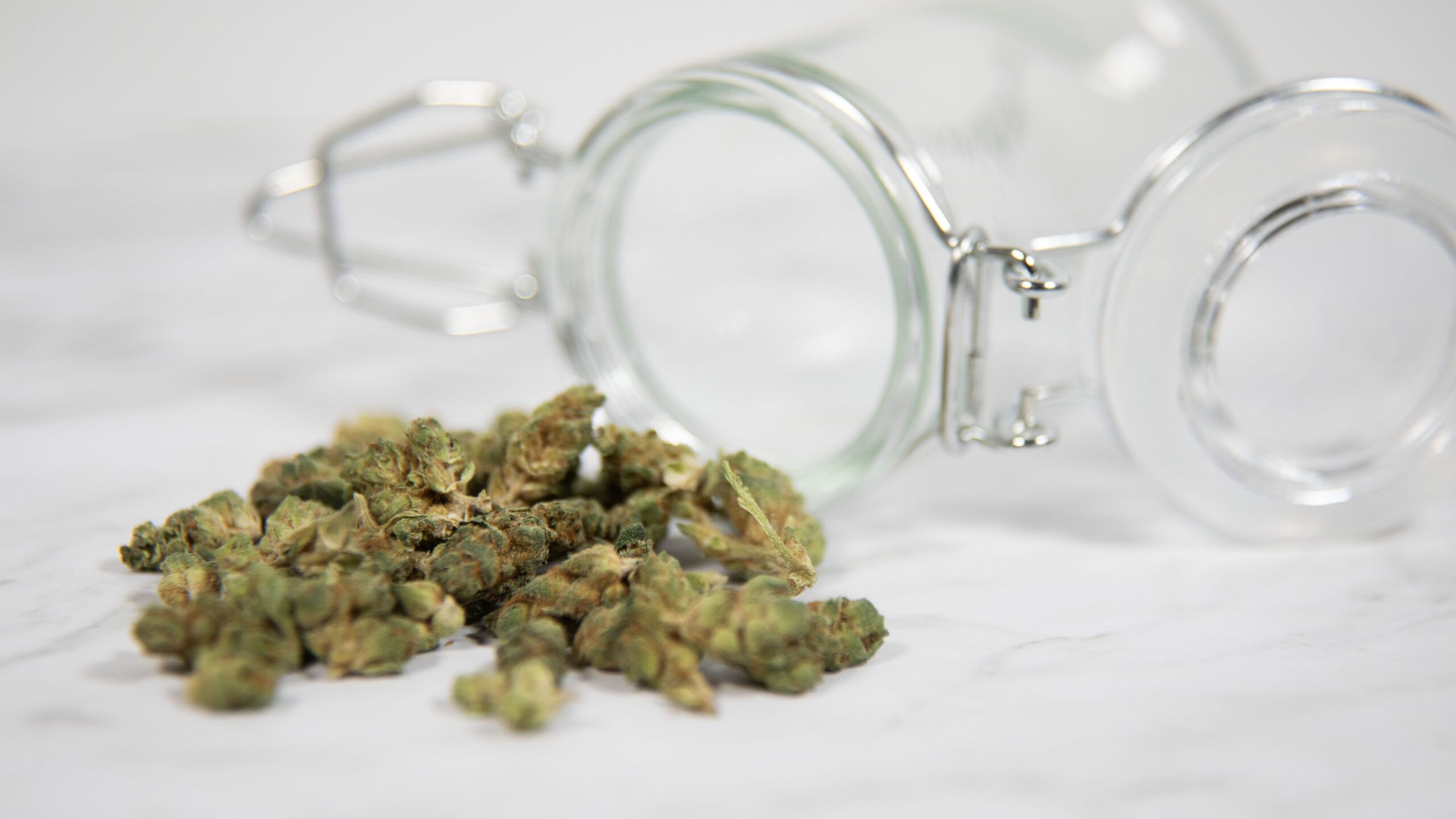 Navigating the New Path: Understanding Your Medical Cannabis Card in Florida